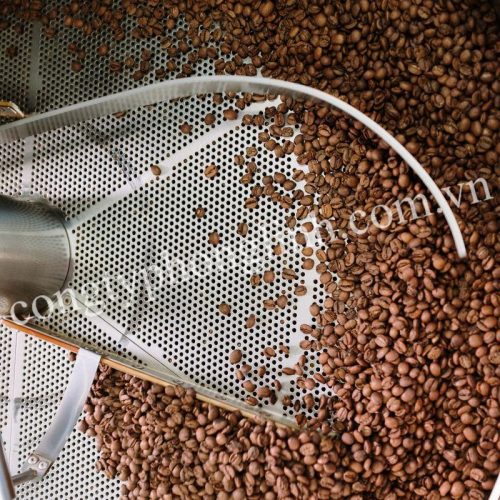 Cận cảnh tôn inox đột lỗ đều, sử dụng trong hệ thống sàng lọc, thoát nước và dây chuyền sản xuất thực phẩm công nghiệp.